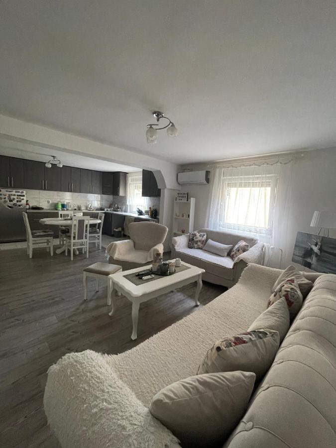 Antic Apartment Požarevac Exterior foto